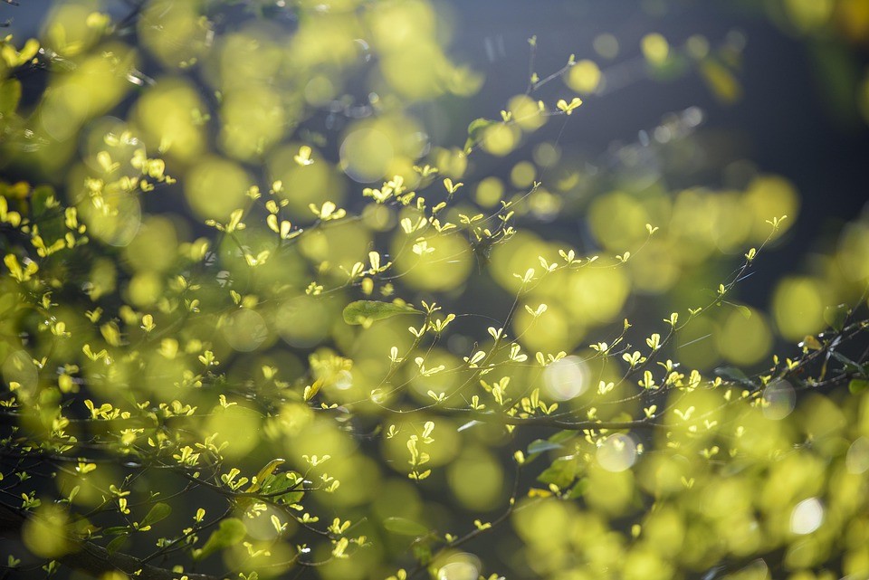חמש המשאות הכי פרועות בחדר השינה של פרת’
