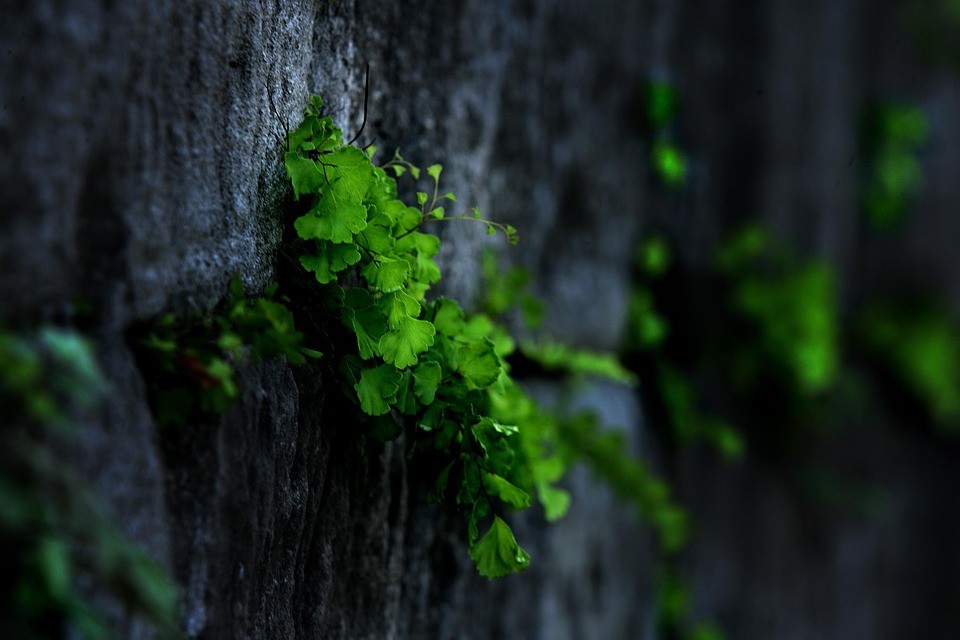מין מדהים: שישה תרגילים שכדאי לנסות עם שייטת מפיראת