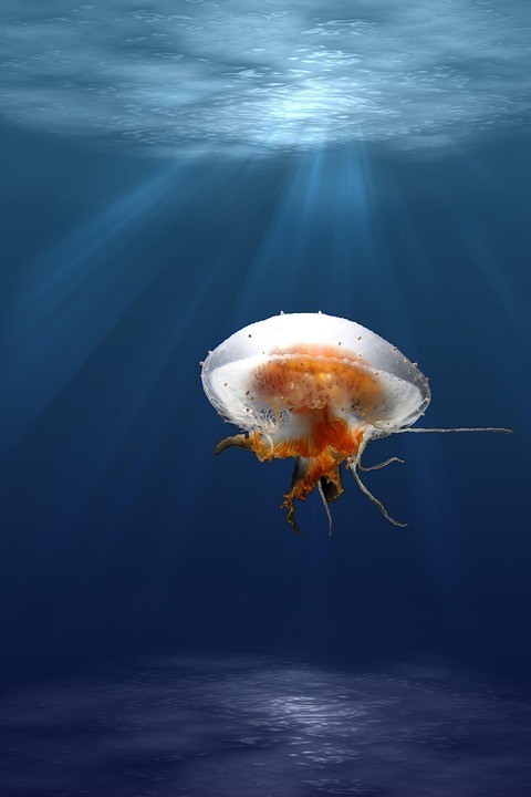 סיפור של אנה מפרת’ (חלק 2): איך לשמור על נישואיי מפני בגידות עם גישה נשית