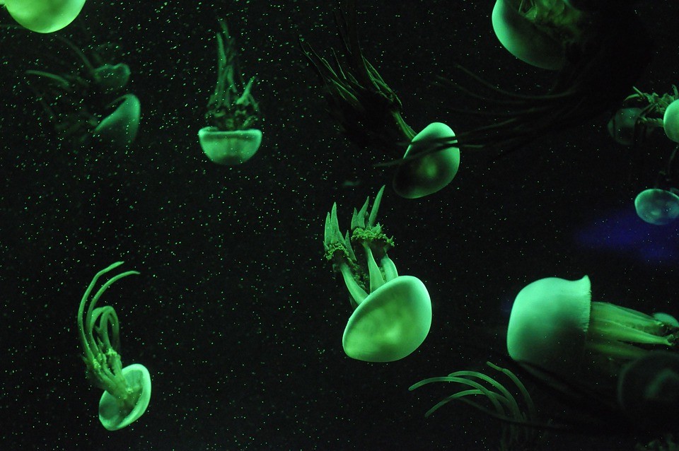 מה שלמדתי מהארוחה עם חברים בפורט ההראשי